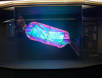 Bannon neon light sculpture