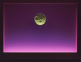 The Origin of Wonder Bannon The Origin of Wonder interactive neon light art